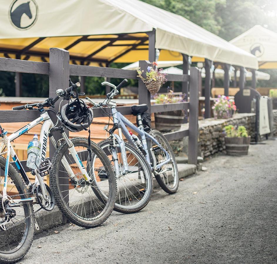 The Nags Head Inn Abercych 외부 사진
